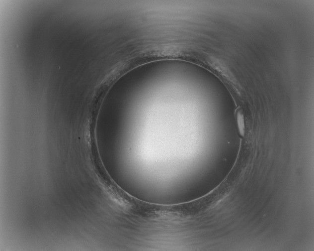 X0000069800681200605261723