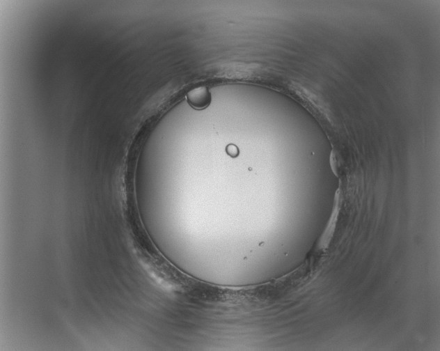 X0000069800682200605261723