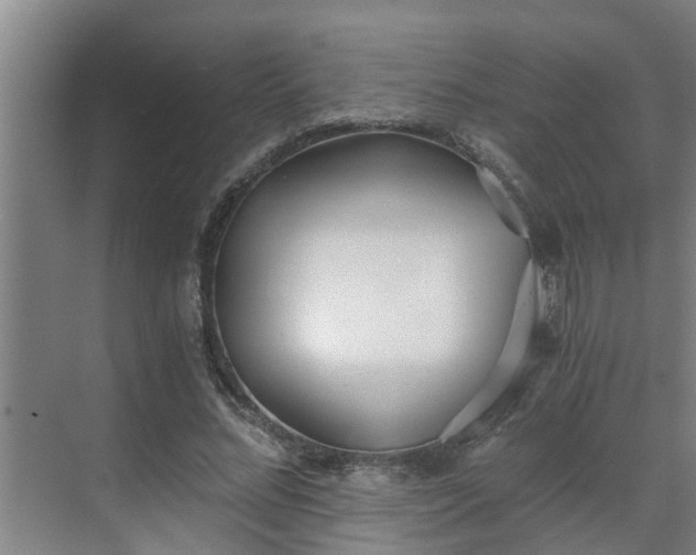 X0000069800684200605261723