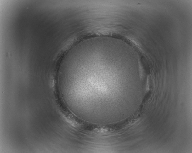 X0000069800687200605261723