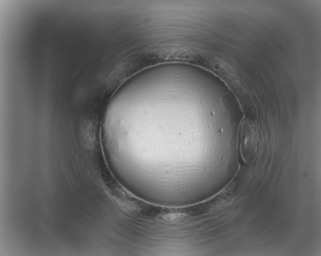 X0000069800695200605261723