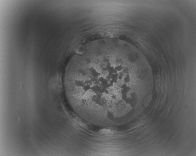 X0000069800699200605261723