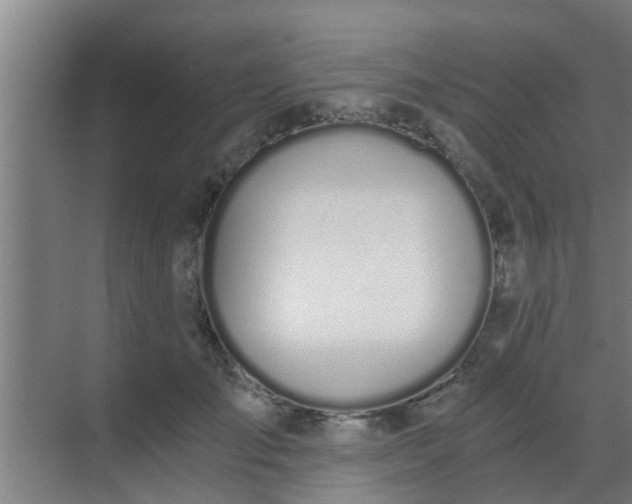 X0000069800701200605261723