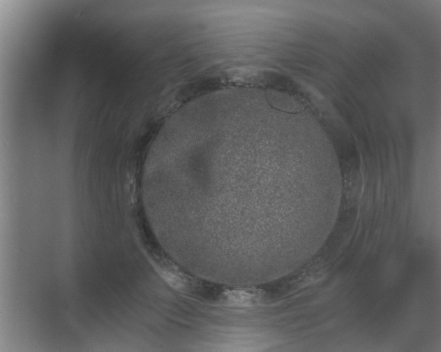 X0000069800703200605261723