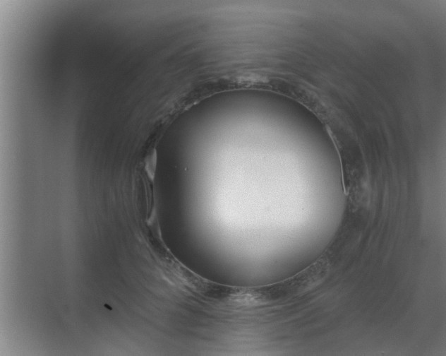 X0000069800704200605261723