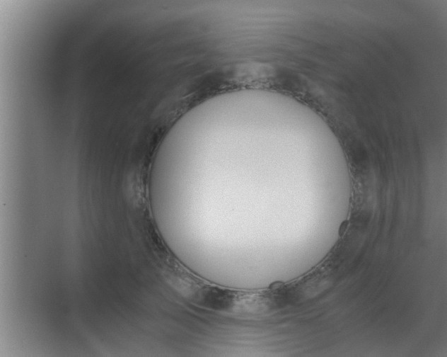 X0000069800705200605261723