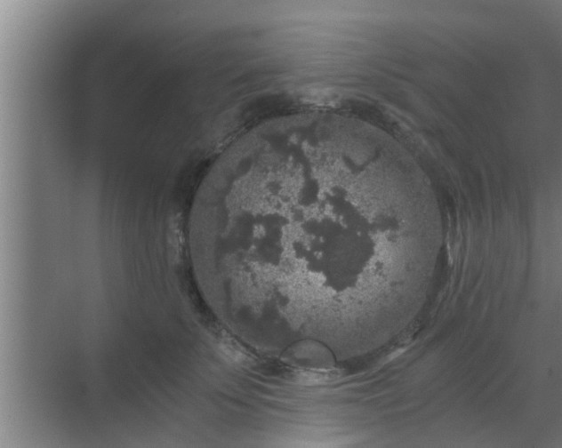 X0000069800707200605261723