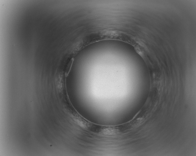 X0000069800708200605261723