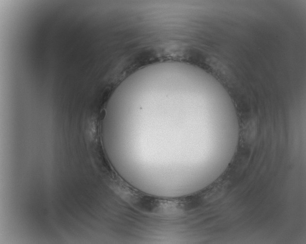 X0000069800709200605261723