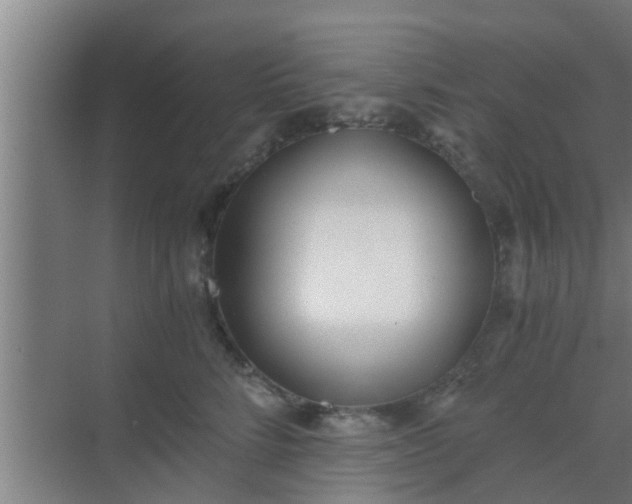 X0000069800712200605261723