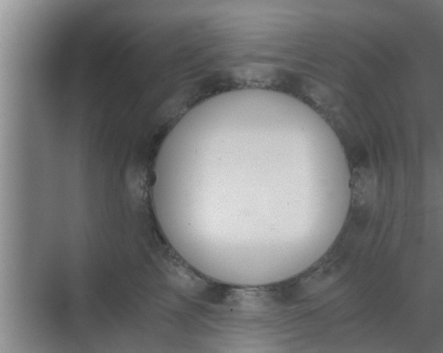 X0000069800713200605261723