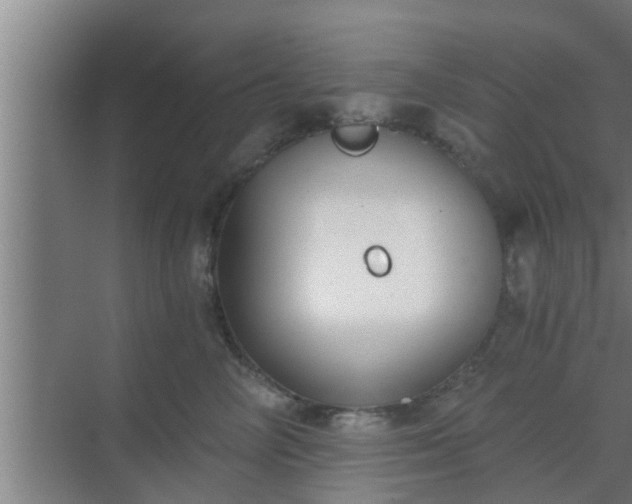 X0000069800714200605261723