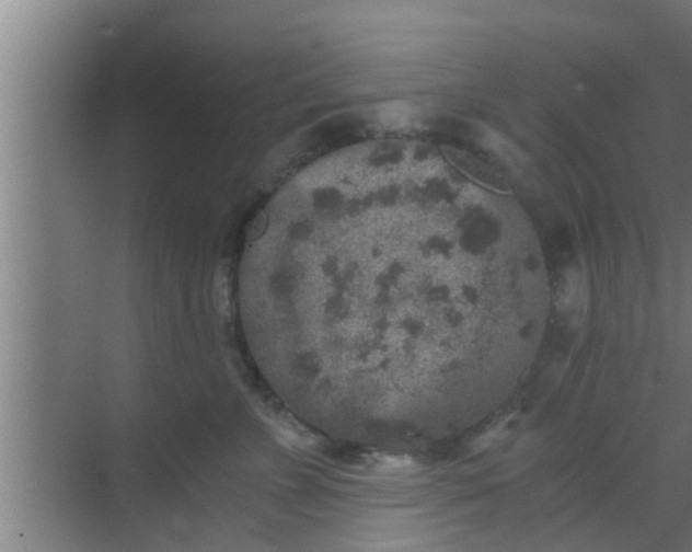 X0000069800715200605261723