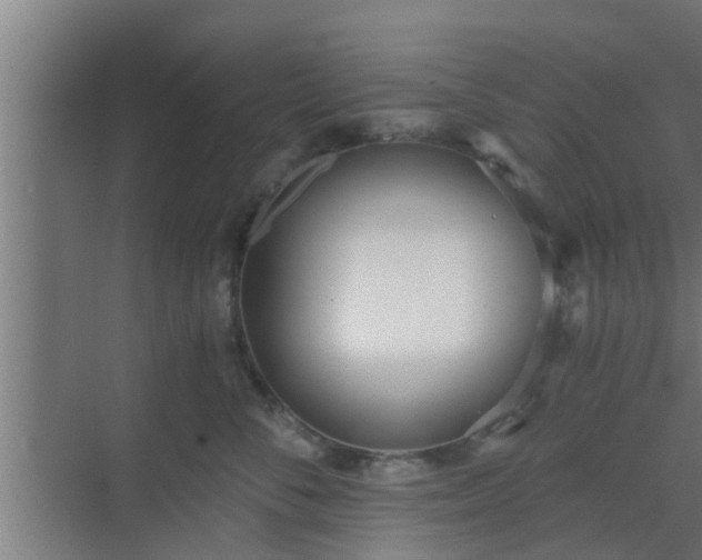 X0000069800716200605261723