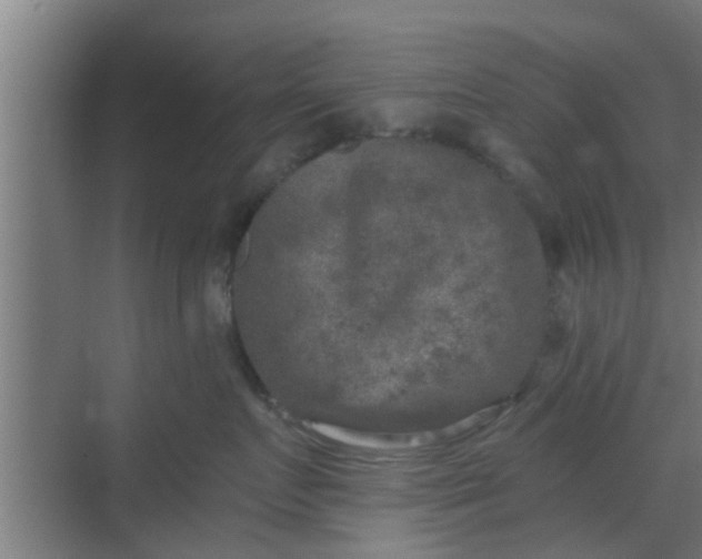 X0000069800719200605261722