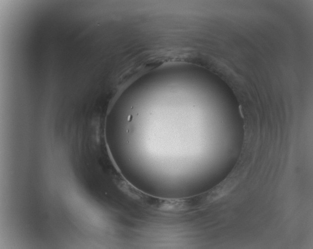 X0000069800720200605261722