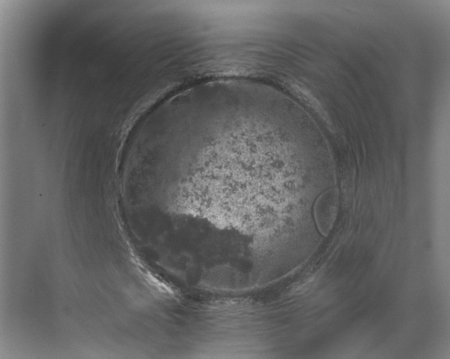 X0000069800721200605261722