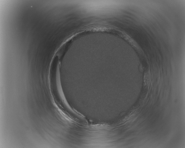 X0000069800722200605261722