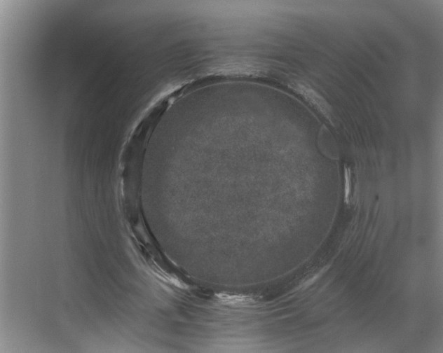 X0000069800723200605261722