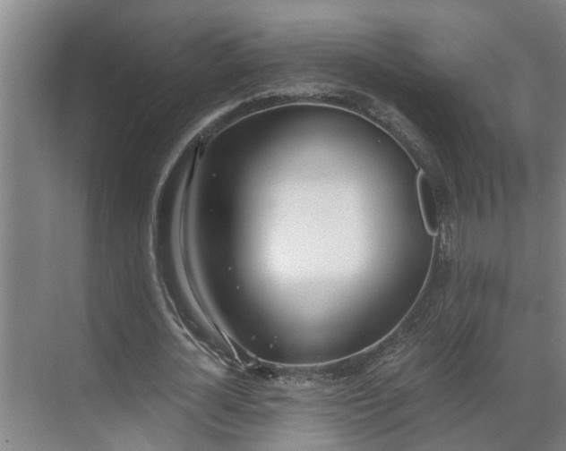 X0000069800724200605261722