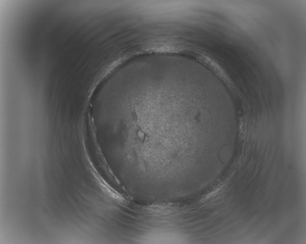 X0000069800725200605261722