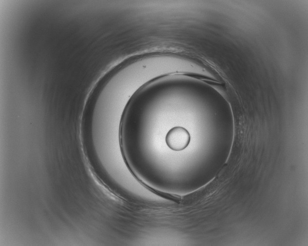 X0000069800726200605261722