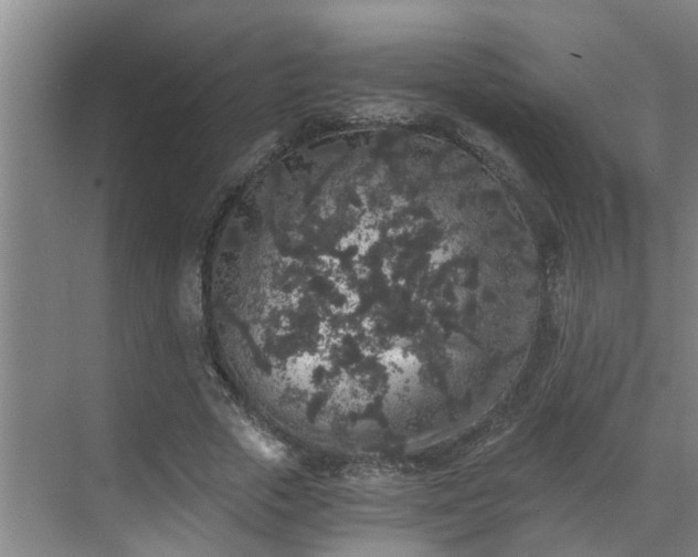 X0000069800729200605261722