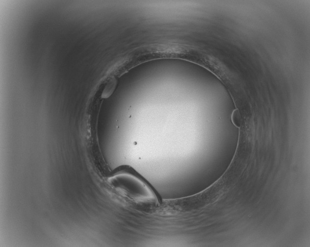 X0000069800731200605261722