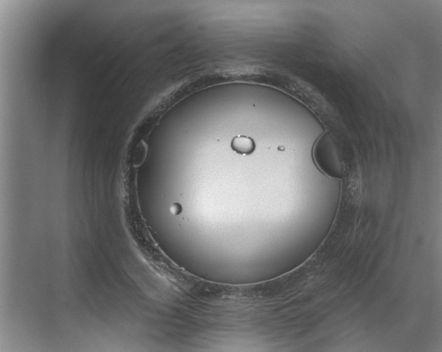 X0000069800732200605261722