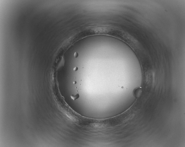 X0000069800733200605261722