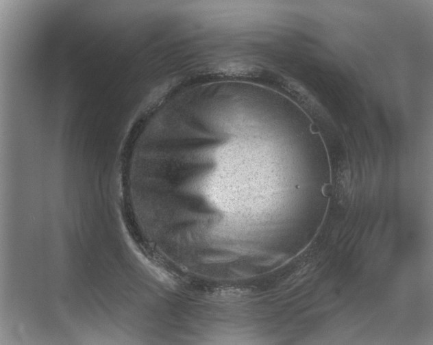 X0000069800734200605261722