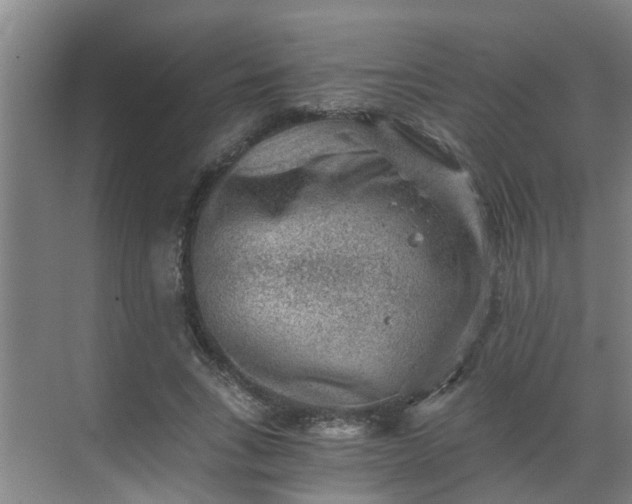 X0000069800735200605261722