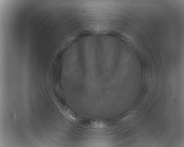 X0000069800742200605261722