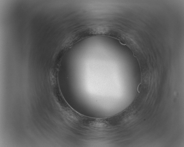 X0000069800743200605261722