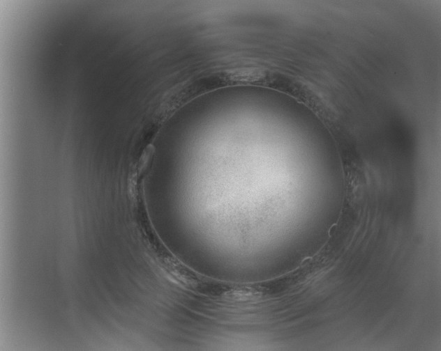 X0000069800745200605261722