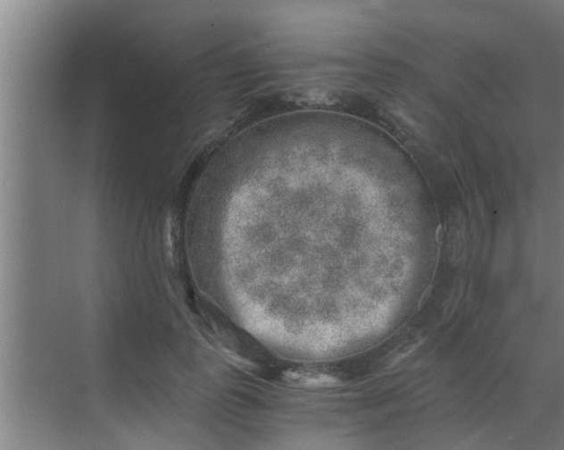 X0000069800747200605261722