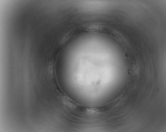 X0000069800753200605261722