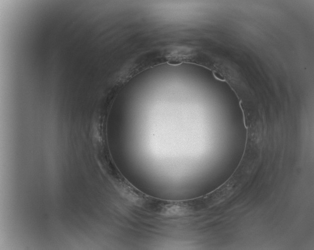 X0000069800755200605261722