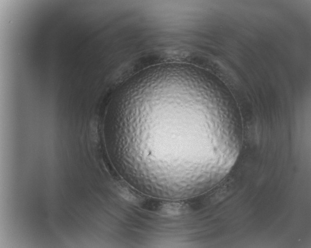 X0000069800757200605261722