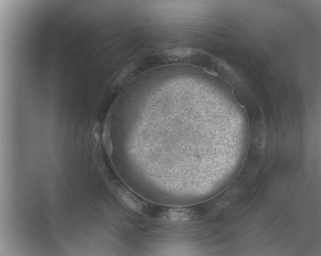 X0000069800758200605261722