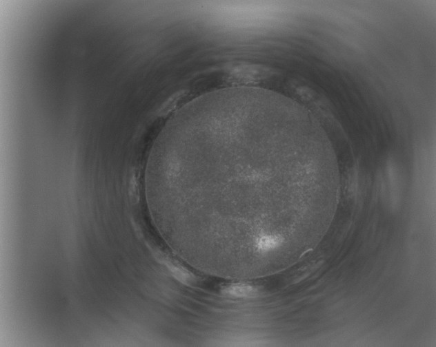 X0000069800759200605261722