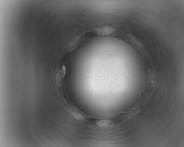 X0000069800761200605261722