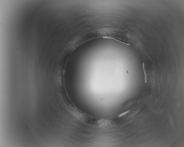 X0000069800762200605261722