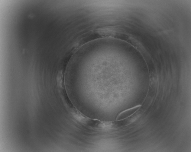 X0000069800767200605261722