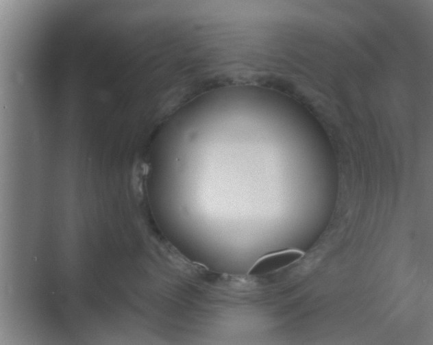 X0000069800768200605261722