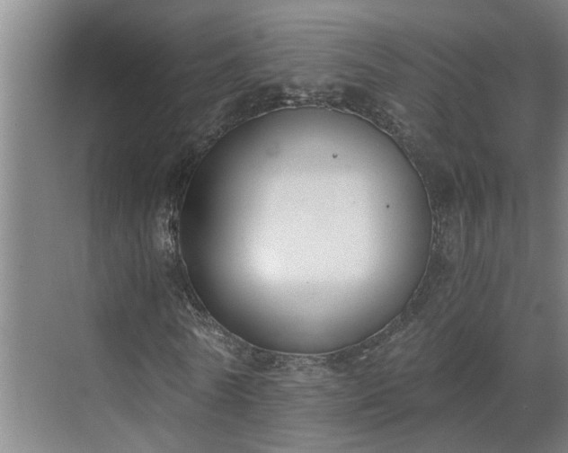 X0000069800770200605261722