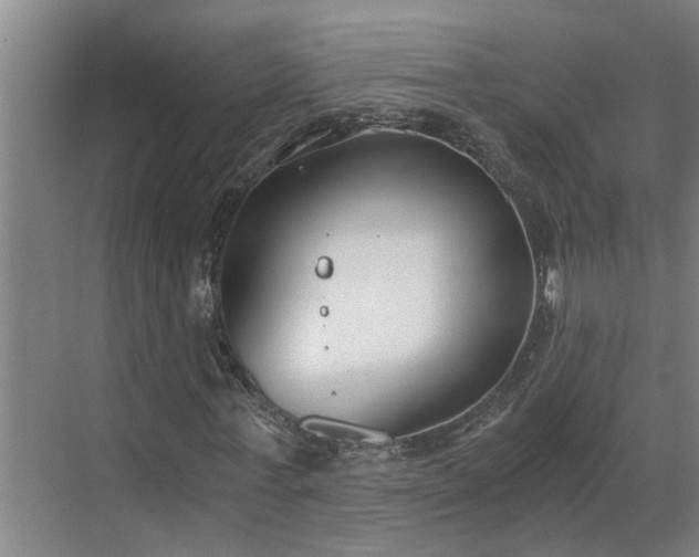 X0000069800771200605261722