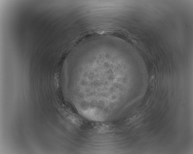 X0000069800772200605261722