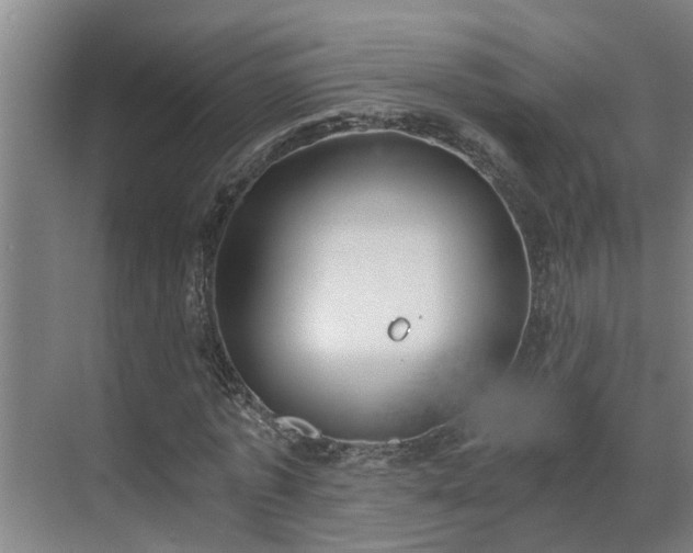 X0000069800773200605261722