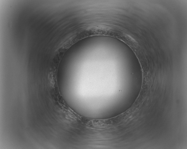 X0000069800774200605261722